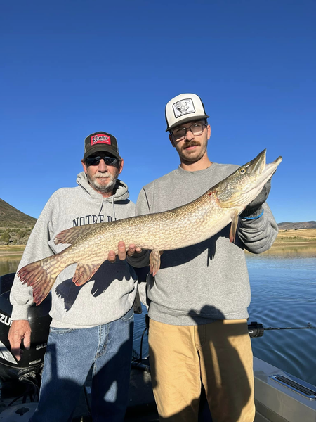 Northern Pike Hooked on Colorado’s waters!